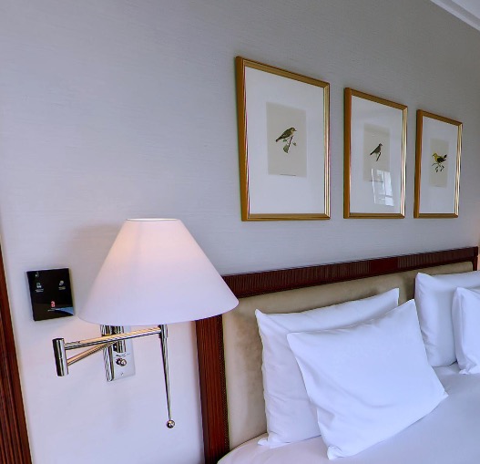 Bedside lamp and framed bird prints above the bed