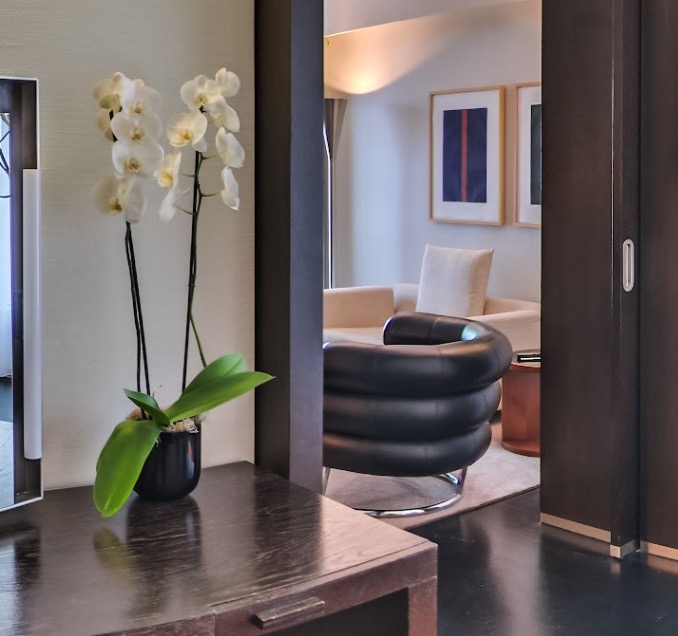 Orchid on the sideboard with a view into the living area