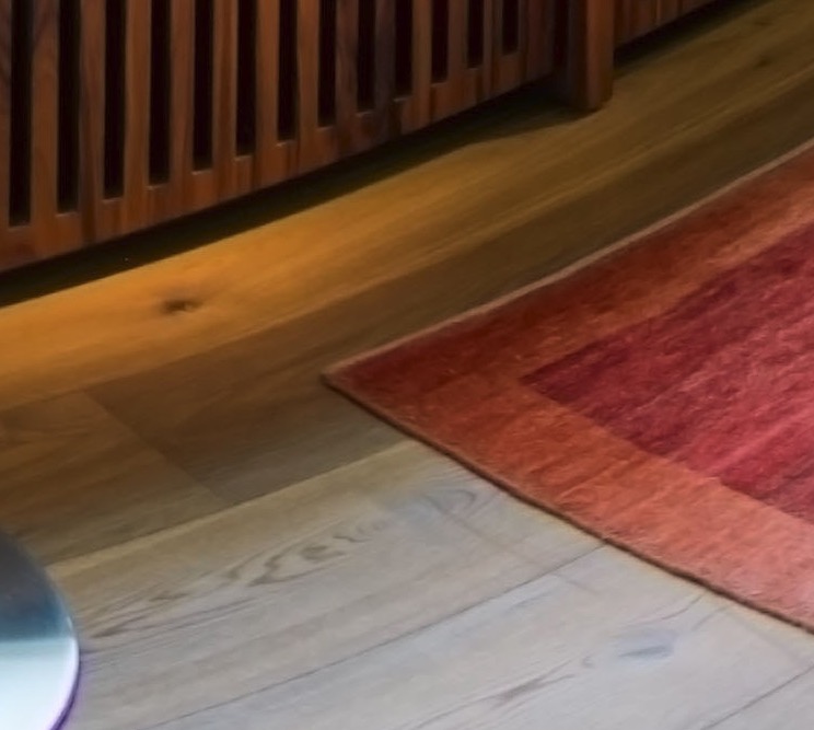 Solid wood floor and rug in the living area