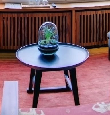 Round side table with a plant under a glass dome